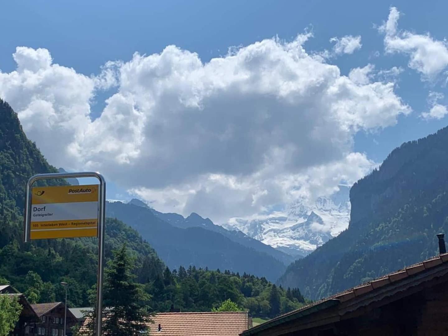 Charming Alpine Retreat By Apartments Capricorn グシュタイクヴィラー エクステリア 写真