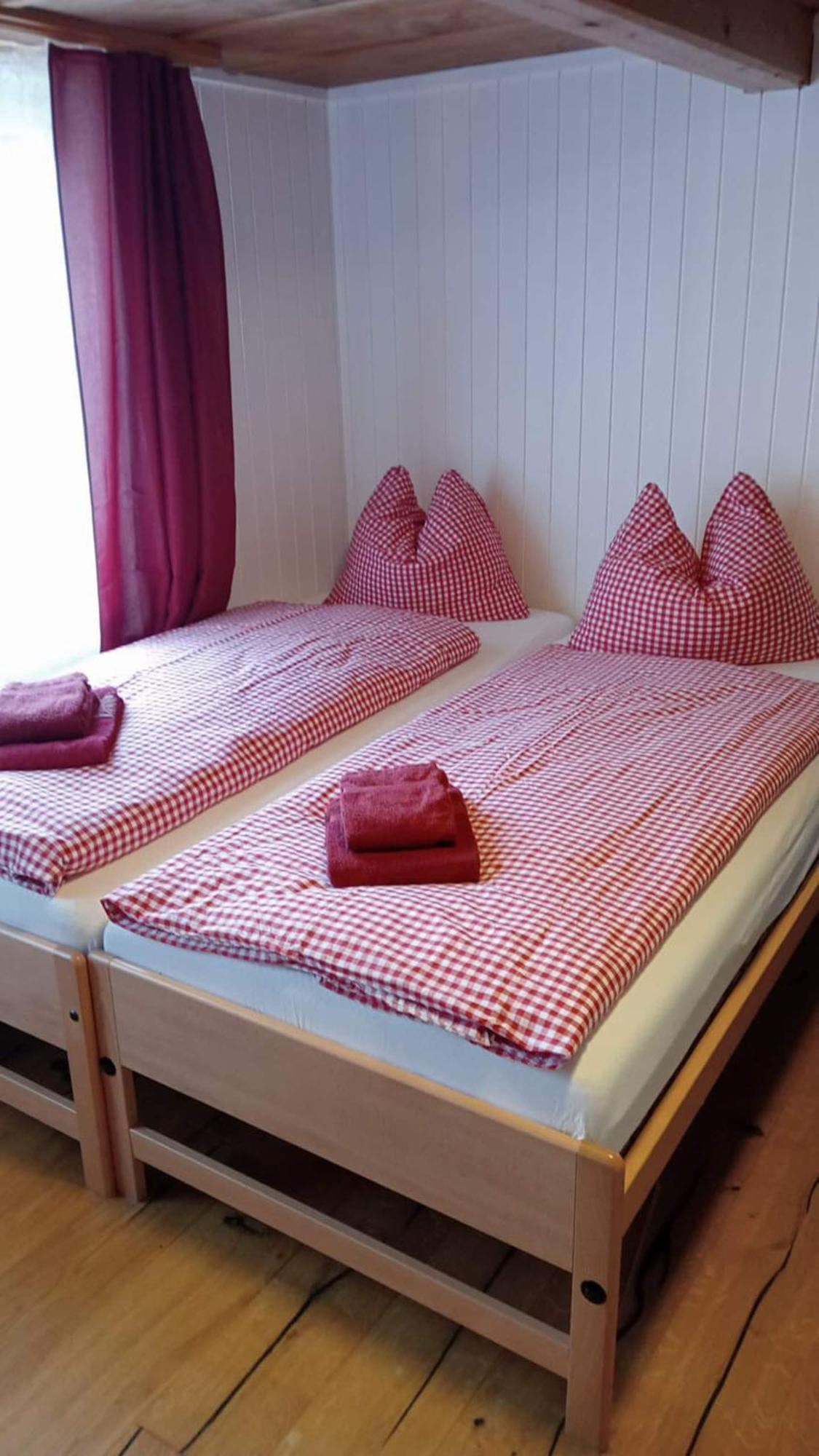 Charming Alpine Retreat By Apartments Capricorn グシュタイクヴィラー エクステリア 写真